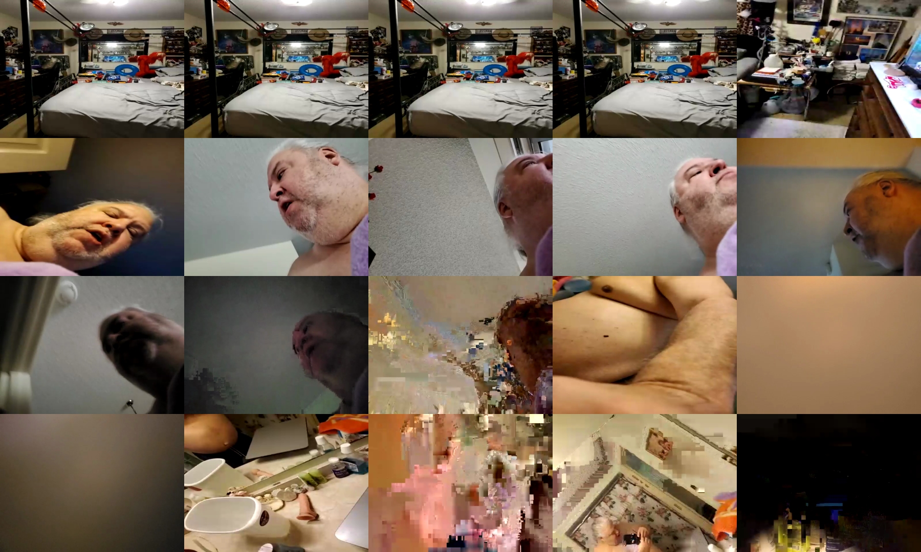 Fat_Pig_  01-10-2021